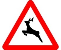 Señal P-24: Paso de animales en libertad