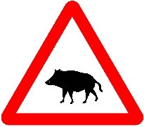 Señal P-24a: Paso de animales en libertad (jabalíes)