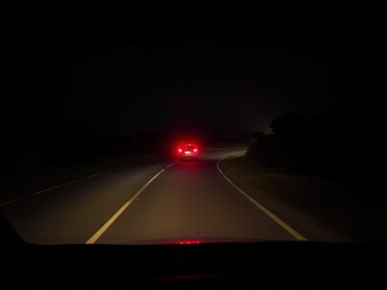Luces traseras de un vehículo por delante en una carretera oscura con curvas